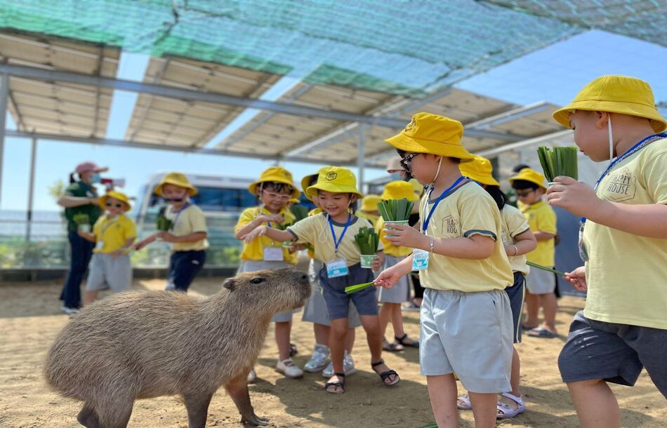 Vườn thú ZooDoo Phan Rang 