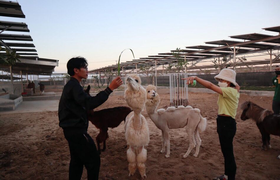 Vườn thú ZooDoo Phan Rang 