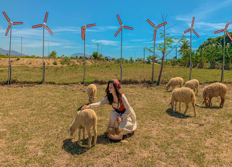 Tour Ninh Thuận 3 ngày 2 đêm: Chất lượng, trọn gói, Ưu Đãi 2024