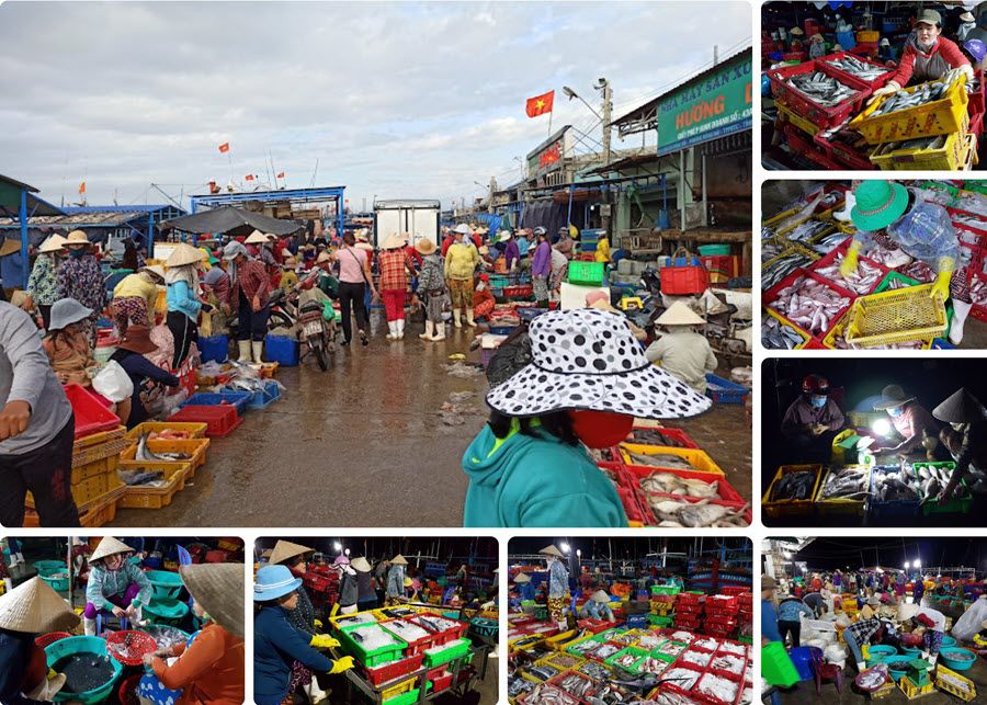 Không khí tập nập, nhộn nhịp tại cảng cá Đông Hải - Phan Rang