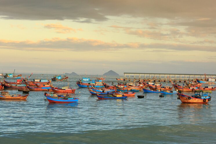 Tour Câu Cá Nha Trang [Tour Trải Nghiệm]