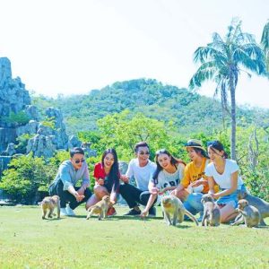 Trải nghiệm tour Đảo Khỉ thú vị