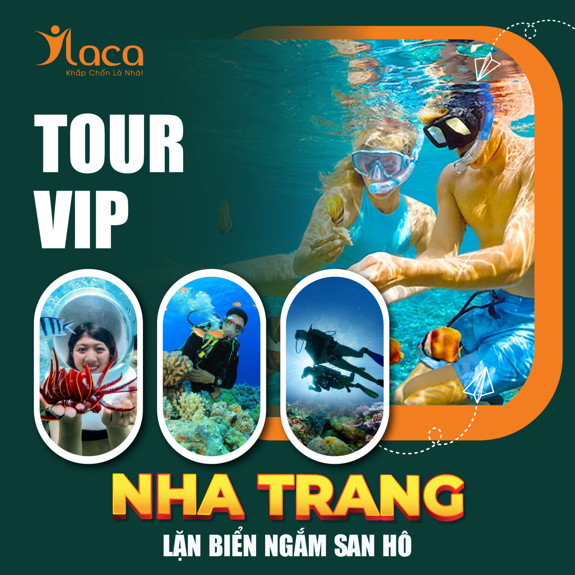 Tour lặn biển Nha Trang VIP- Ngắm san hô [Cao Cấp]