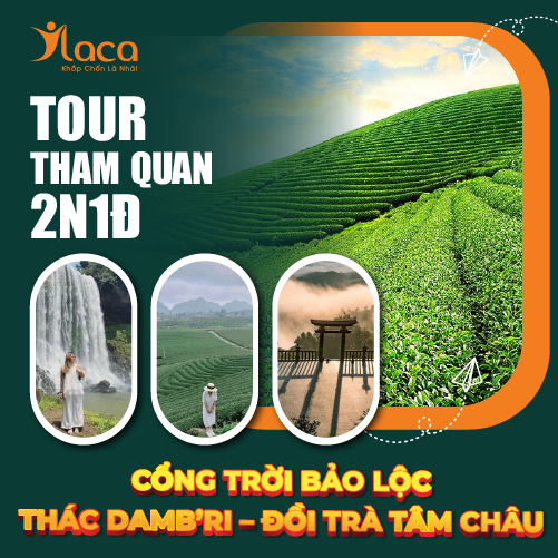 TOUR THAM QUAN CỔNG TRỜI BẢO LỘC – THÁC DAMB’RI – ĐỒI TRÀ TÂM CHÂU 2 NGÀY 1 ĐÊM