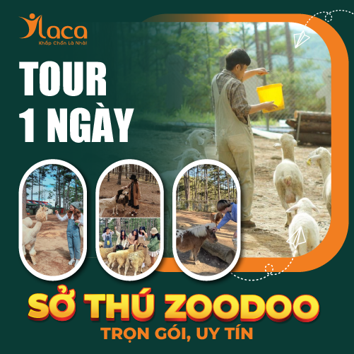 VIVU ĐÀ LẠT 1 NGÀY: TOUR SỞ THÚ ZOODOO TRỌN GÓI, UY TÍN 