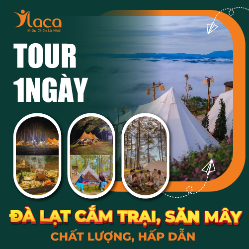 TOUR CẮM TRẠI, SĂN MÂY 1 NGÀY TẠI ĐÀ LẠT CHẤT LƯỢNG, HẤP DẪN 