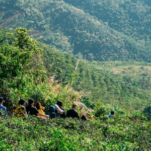 Tour trekking B’Lao đi xuyên rừng thú vị