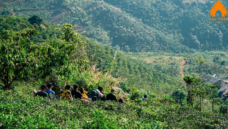 Tour trekking B’Lao đi xuyên rừng thú vị