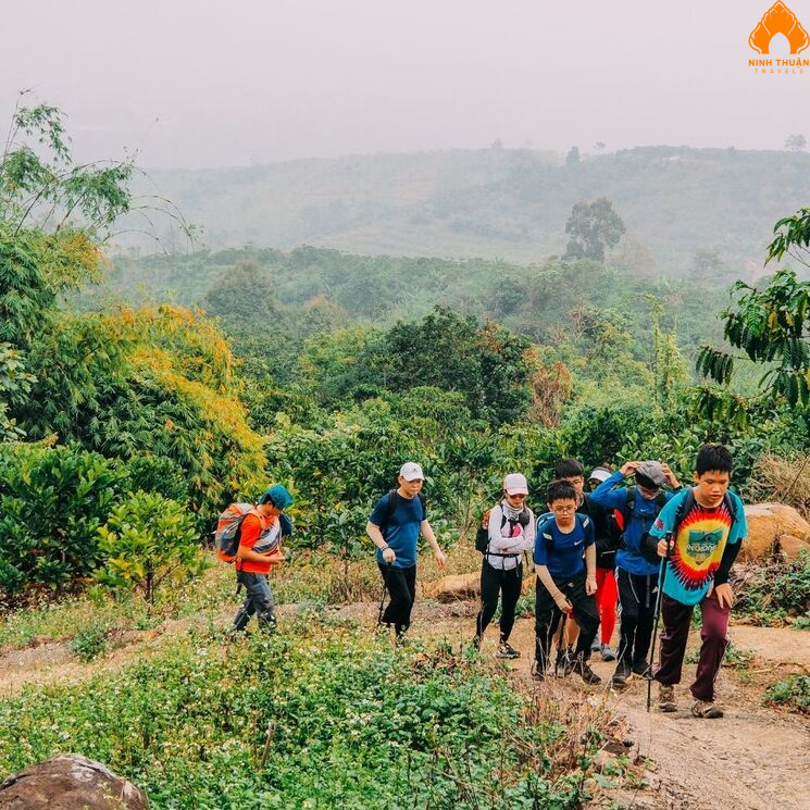 Trải nghiệm trekking B’Lao cắm trại xuyên đêm thú vị