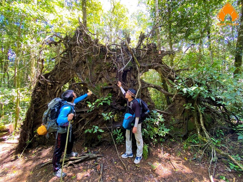 Trekking Bidoup Núi Bà