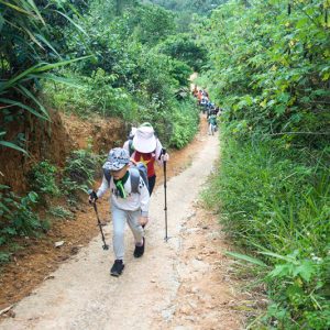 Trekking khám phá rừng núi