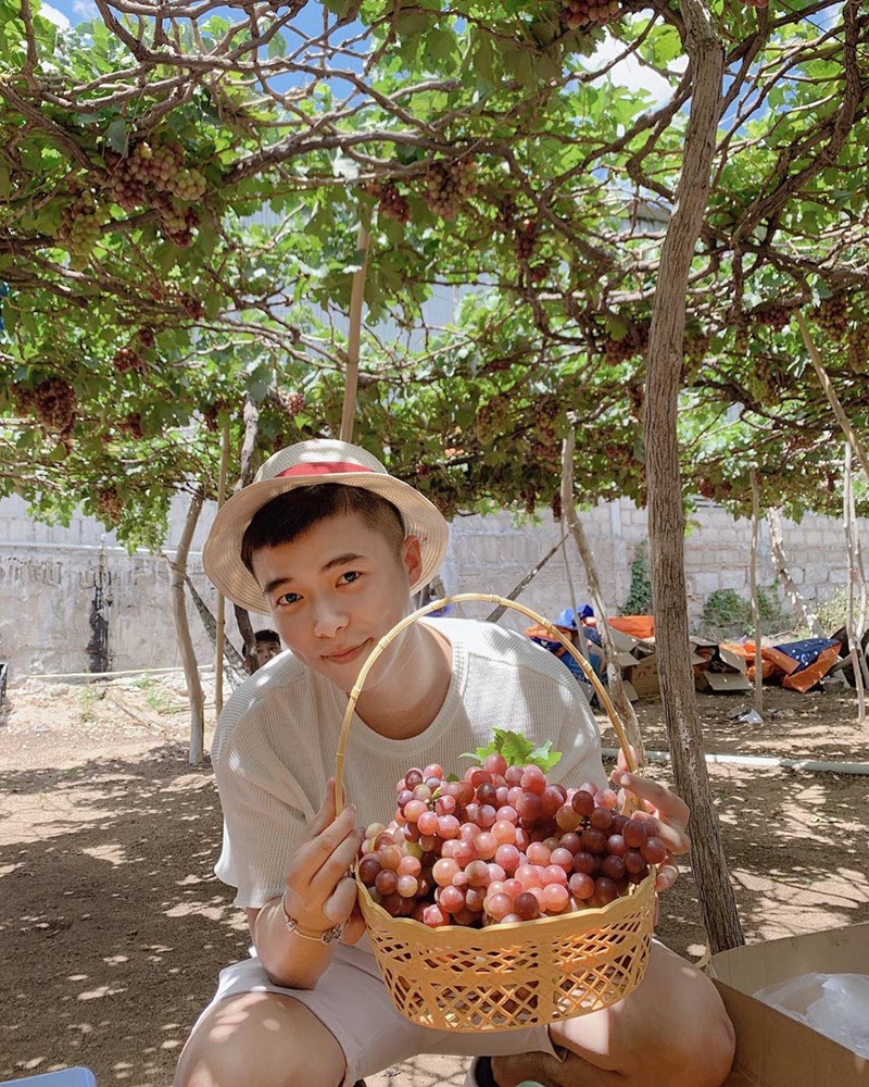 Vườn nho Ba Mọi nằm trong lịch trình tour khám phá thành phố Phan Rang - Tháp Chàm