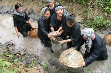 Trải nghiệm bắt cá, tôm và nấu ăn (nướng) tại chỗ 