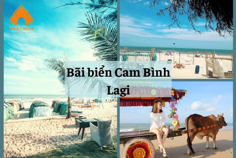 DU LỊCH BÌNH THUẬN TRONG 1 NGÀY: TRẢI NGHIỆM BIỂN XANH, VĂN HÓA ĐỘC ĐÁO & MUA SẮM THẢ GA