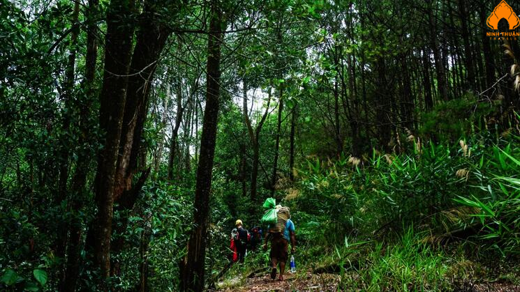 trekking B’Lao hành trình đi xuyên rừng thiêng