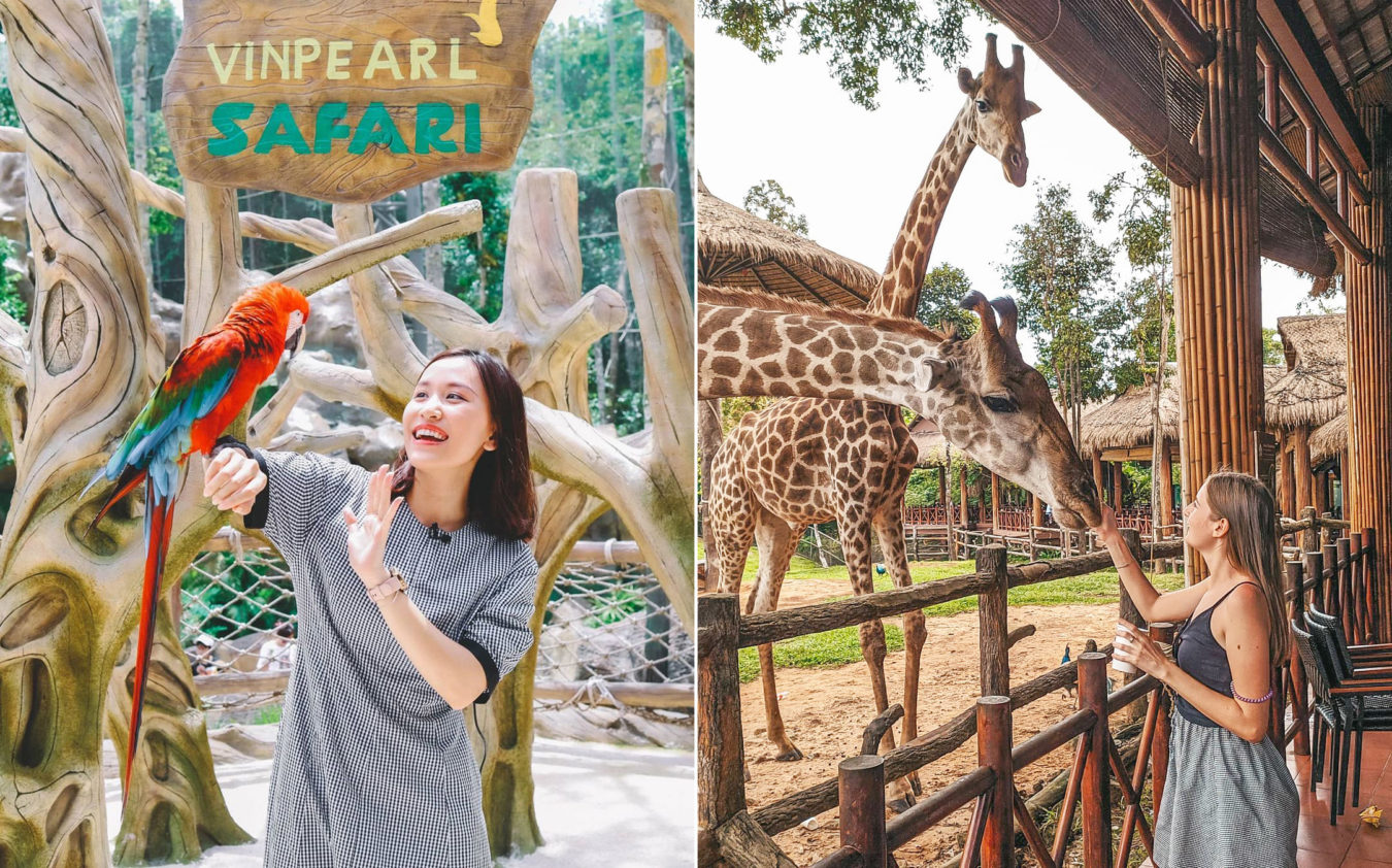 Trải nghiệm thú vị khi đến Vinpearl Safari 