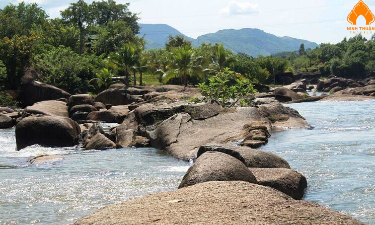 Khám phá hệ sinh thái Waterland Suối Thạch Lâm