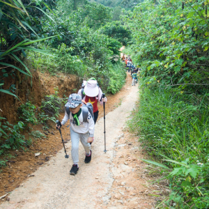 Tour Chinh phục nóc nhà Bảo Lộc 2 ngày 1 đêm chất lượng