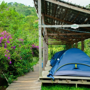 Trải nghiệm cắm trại Up Base Camp trên sườn núi thú vị