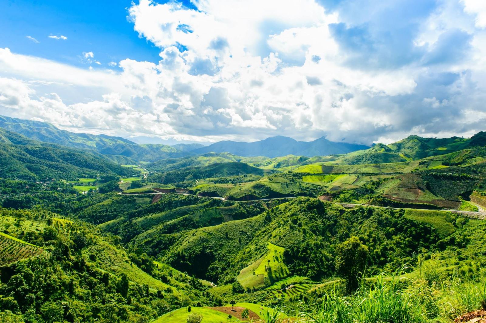 Tour Mộc Châu Sơn La Điện Biên 4 Ngày 3 Đêm Từ Đà Nẵng Giá Tốt