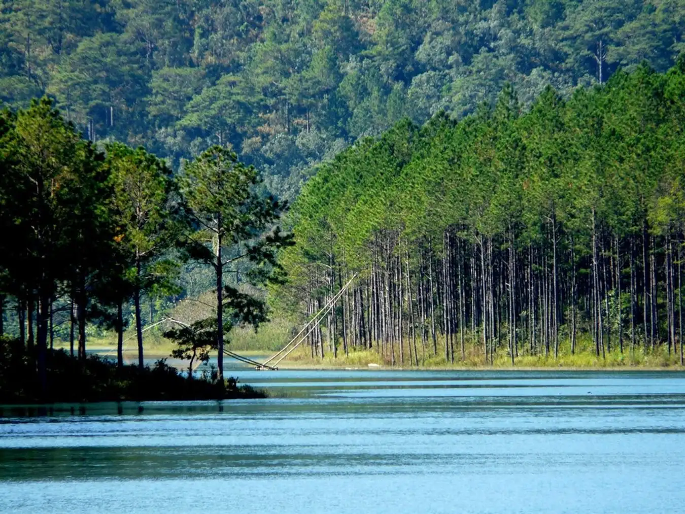 Nơi này được bình chọn là một trong 3 hồ nước đẹp nhất tại thành phố mù sương