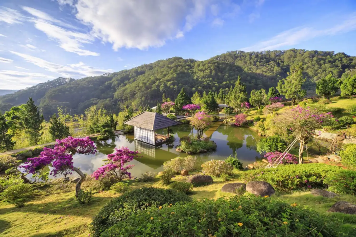 Que Garden - Phong cảnh nên thơ hữu tình giữa lòng đại ngàn