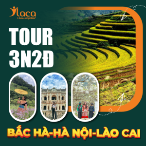 TOUR BẮC HÀ HÀ NỘI LÀO CAI 3 NGÀY 2 ĐÊM