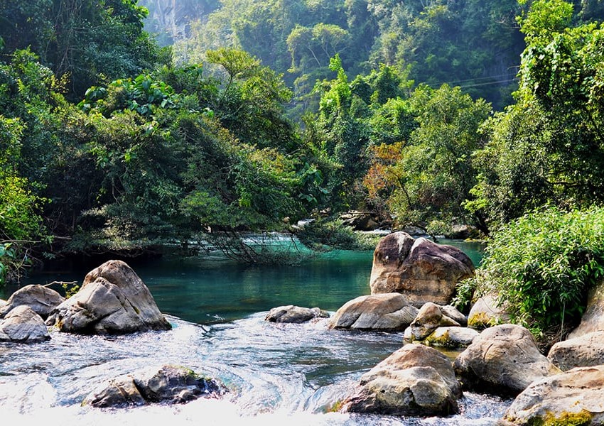 Khám phá rừng trong Núi Dinh tại Vũng Tàu