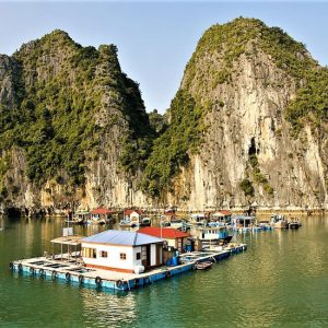 Tour Thăm Vịnh Hạ Long 4 Tiếng/6 Tiếng Trong ngày