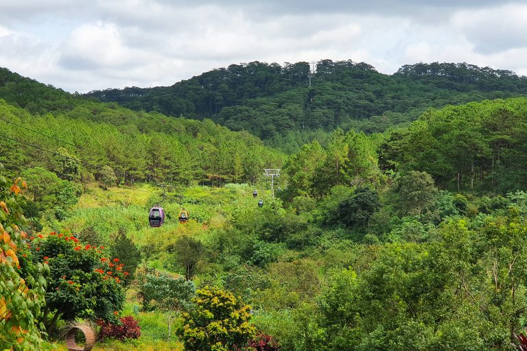 Đồi Robin Đà Lạt: View ngắm toàn cảnh thành phố từ trên cao