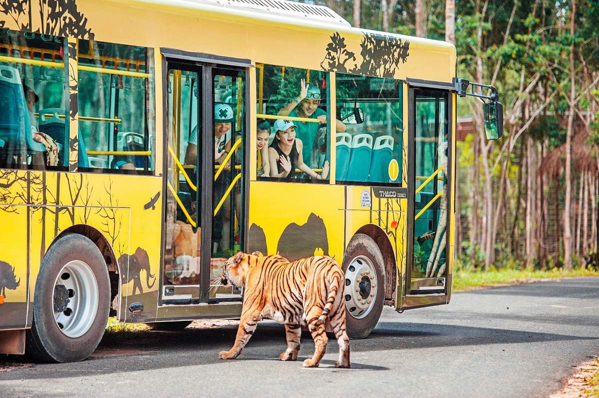 Tour Phú Quốc 1 ngày