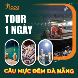 Tour Câu mực đêm Đà Nẵng