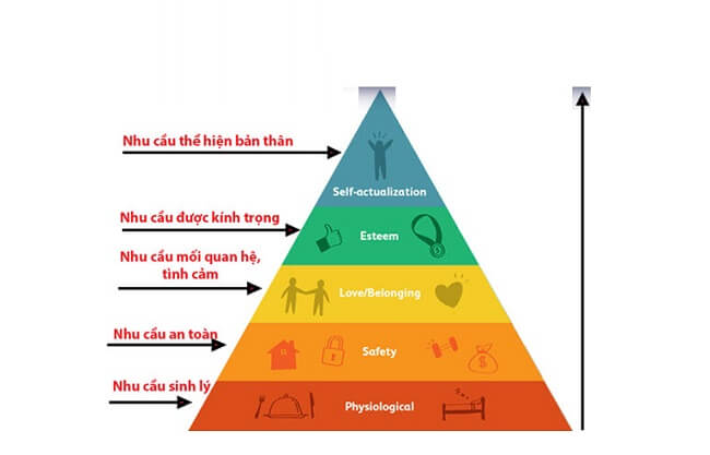 Các bước phân tích hành vi người tiêu dùng hiệu quả