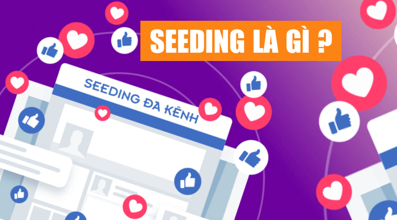 Các nguyên tắc cần tuân thủ khi triển khai seeding Marketing