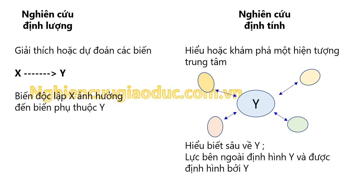 Dữ liệu của nghiên cứu định tính