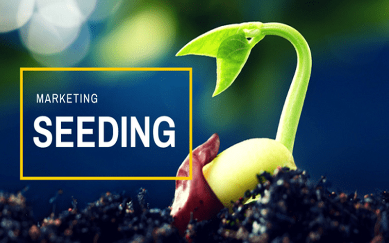 Seeding là gì? Tầm quan trọng của seeding trong các chiến dịch marketing của doanh nghiệp