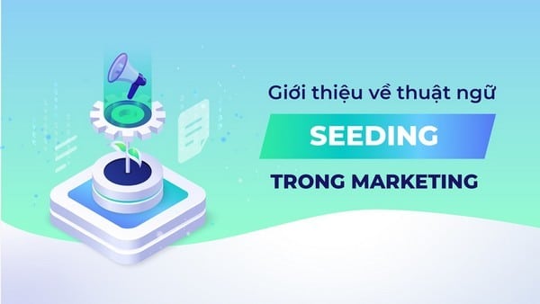 Seeding là gì