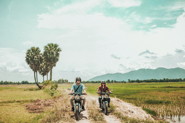 Cây thốt nốt trái tim ‘huyền thoại’ ở An Giang thành ‘trái tim tan vỡ’ vì ý thức khách du lịch quá kém