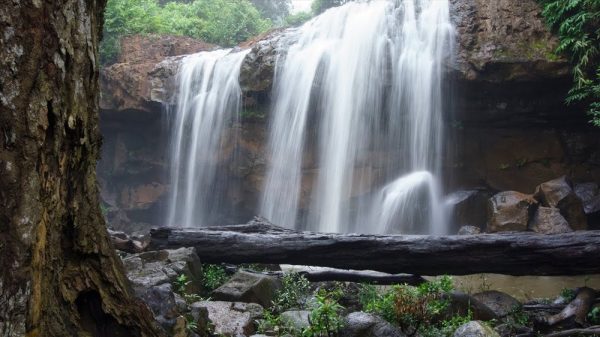 Hành trình đến với hang Dơi