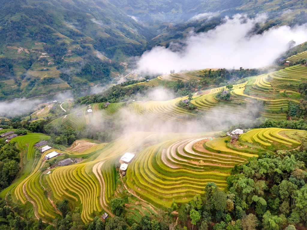 Hoàng Su Phì Hà Giang