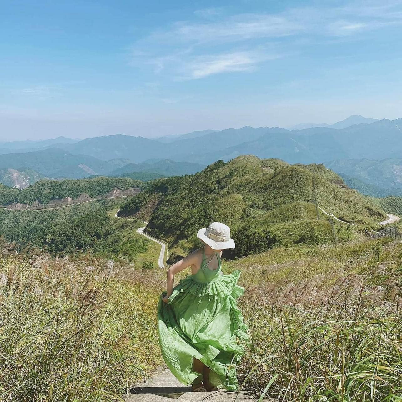 Cỏ lau nở trắng Bình Liêu