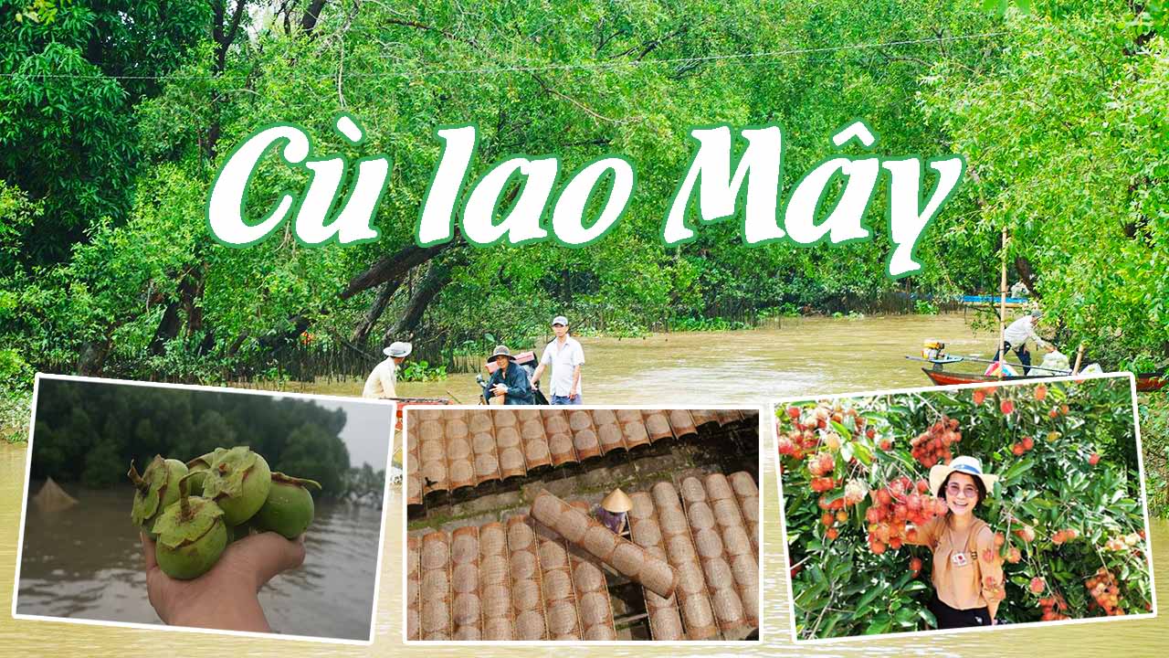 Cù Lao Mây – Điểm du lịch miệt vườn hấp dẫn ở Vĩnh Long