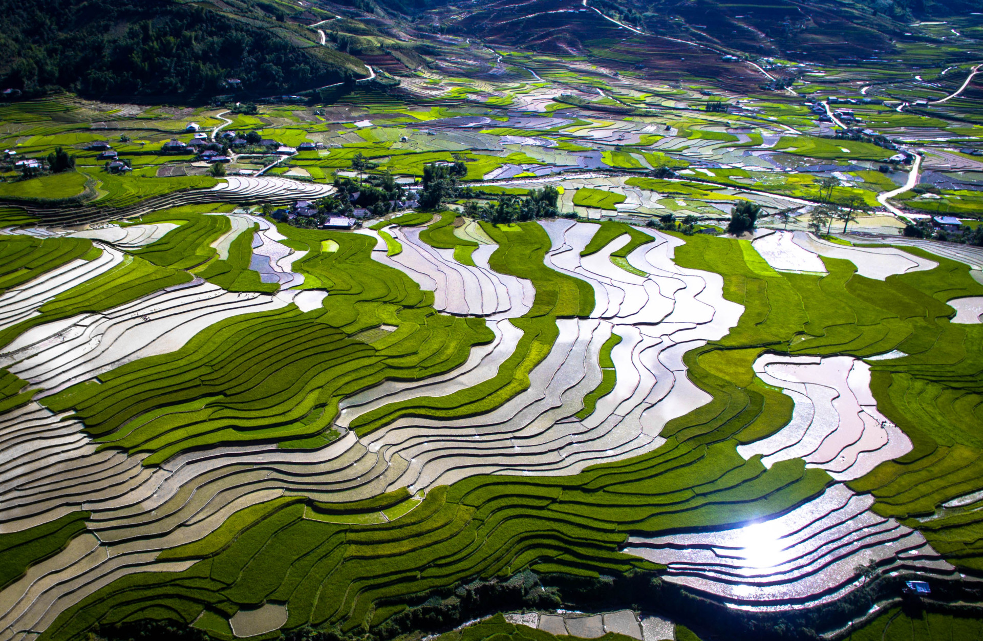 Tú Lệ mùa nào đẹp